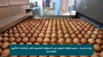 زيادة جديدة.. سعر كرتونة البيض في الأسواق المصرية خلال تعاملات الاثنين 22-9-2025